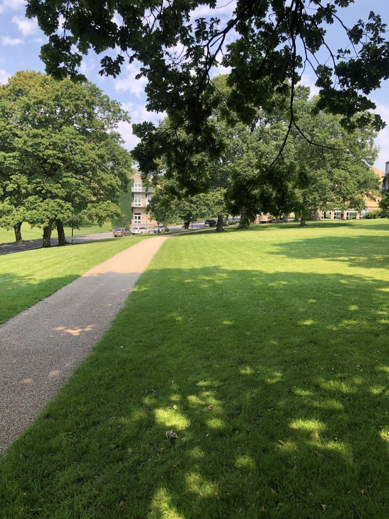 Flot belægning på gangstier danner ramme om bygninger og park